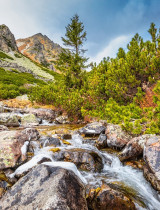 Najlepšie jesenné turistické destinácie na Slovensku –  tipy na obľúbené trasy