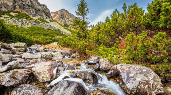 Najlepšie jesenné turistické destinácie na Slovensku –  tipy na obľúbené trasy