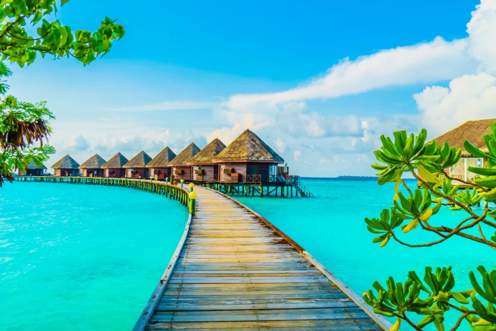 Maldivy